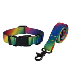 Plastic Release Buckle Dog Leash And Collar Set