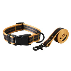 Plastic Release Buckle Dog Leash And Collar Set