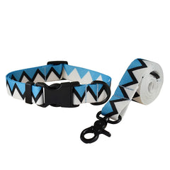 Plastic Release Buckle Dog Leash And Collar Set