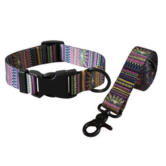 Plastic Release Buckle Dog Leash And Collar Set