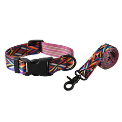 Plastic Release Buckle Dog Leash And Collar Set