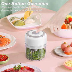 New Efficient, Handy, and Portablel Mini USB Kitchen Food Chopper