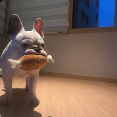 Pet Plush Toy Chicken T