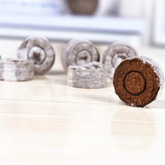 Jify Peat Block Pellets Seedling