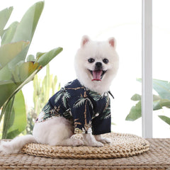 Pet Cotton Shirts Hawaii Style