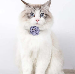 Cat Collar Adjustable Bow Tie