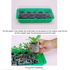 Jify Peat Block Pellets Seedling