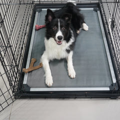 Padded Dog Bed for Crate, Chew-Proof Elevated Cot