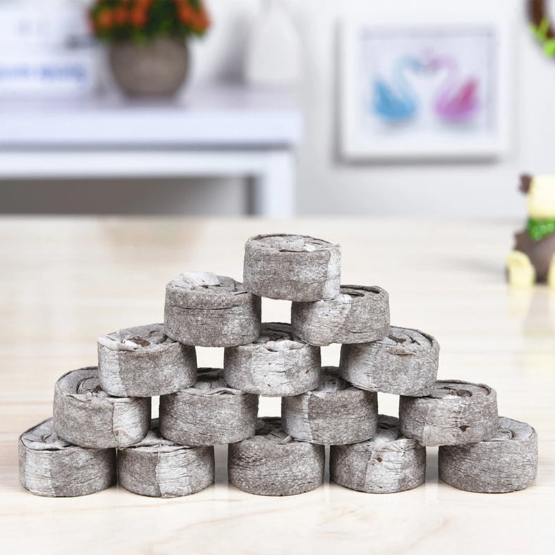 Jify Peat Block Pellets Seedling