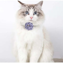 Cat Collar Adjustable Bow Tie