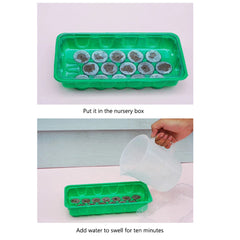Jify Peat Block Pellets Seedling