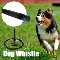 Dog Whistle Training