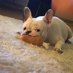 Pet Plush Toy Chicken T