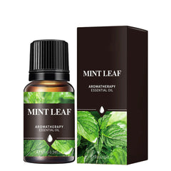 10ml Car Natural Plant Essential Oil For Car