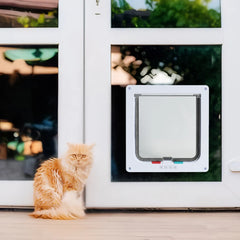 Dog Cat Flap Safety In & out Pet Door with 4 Way Security Lock