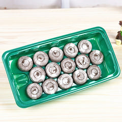 Jify Peat Block Pellets Seedling